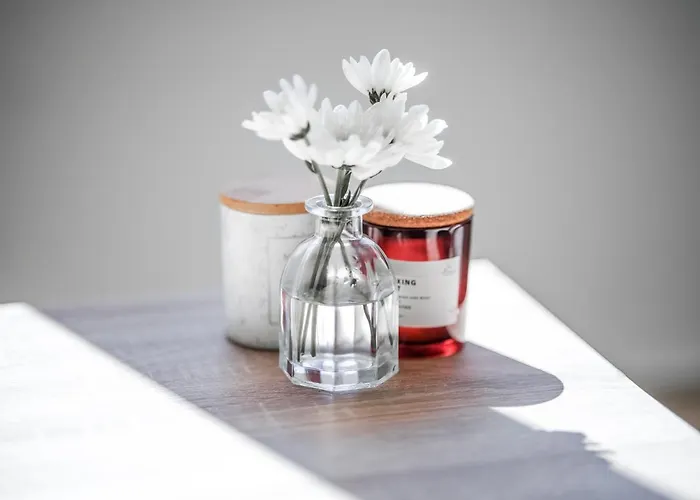 Cavar, Close To The Apartamento *